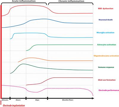 Tissue Response to Neural Implants: The Use of Model Systems Toward New Design Solutions of Implantable Microelectrodes